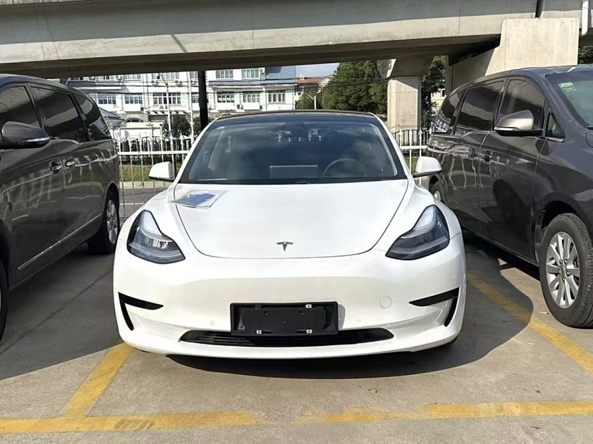 特斯拉 Model 3  2020款 改款 標(biāo)準(zhǔn)續(xù)航后驅(qū)升級(jí)版圖片