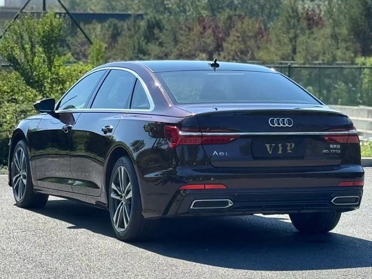 奧迪 奧迪A6L  2019款 45 TFSI 臻選動感型圖片