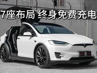 2020年3月 特斯拉 Model X Performance 高性能版圖片