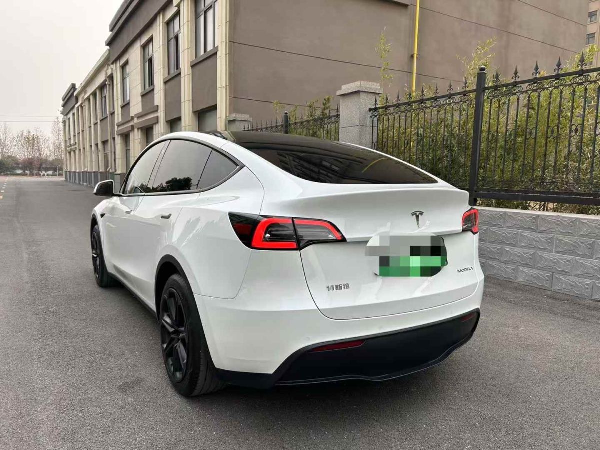 特斯拉 Model Y  2024款 Performance高性能版圖片