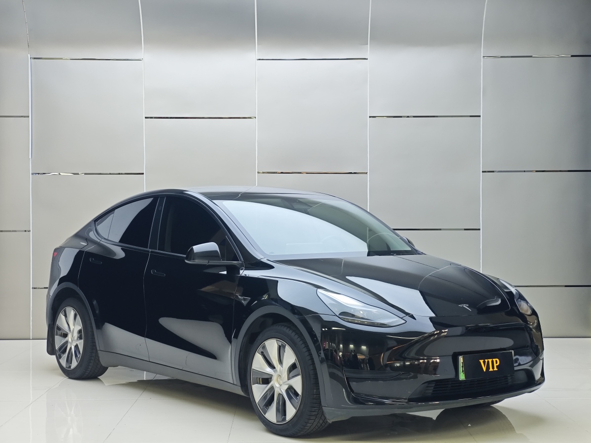 特斯拉 Model 3  2022款 后輪驅(qū)動版圖片