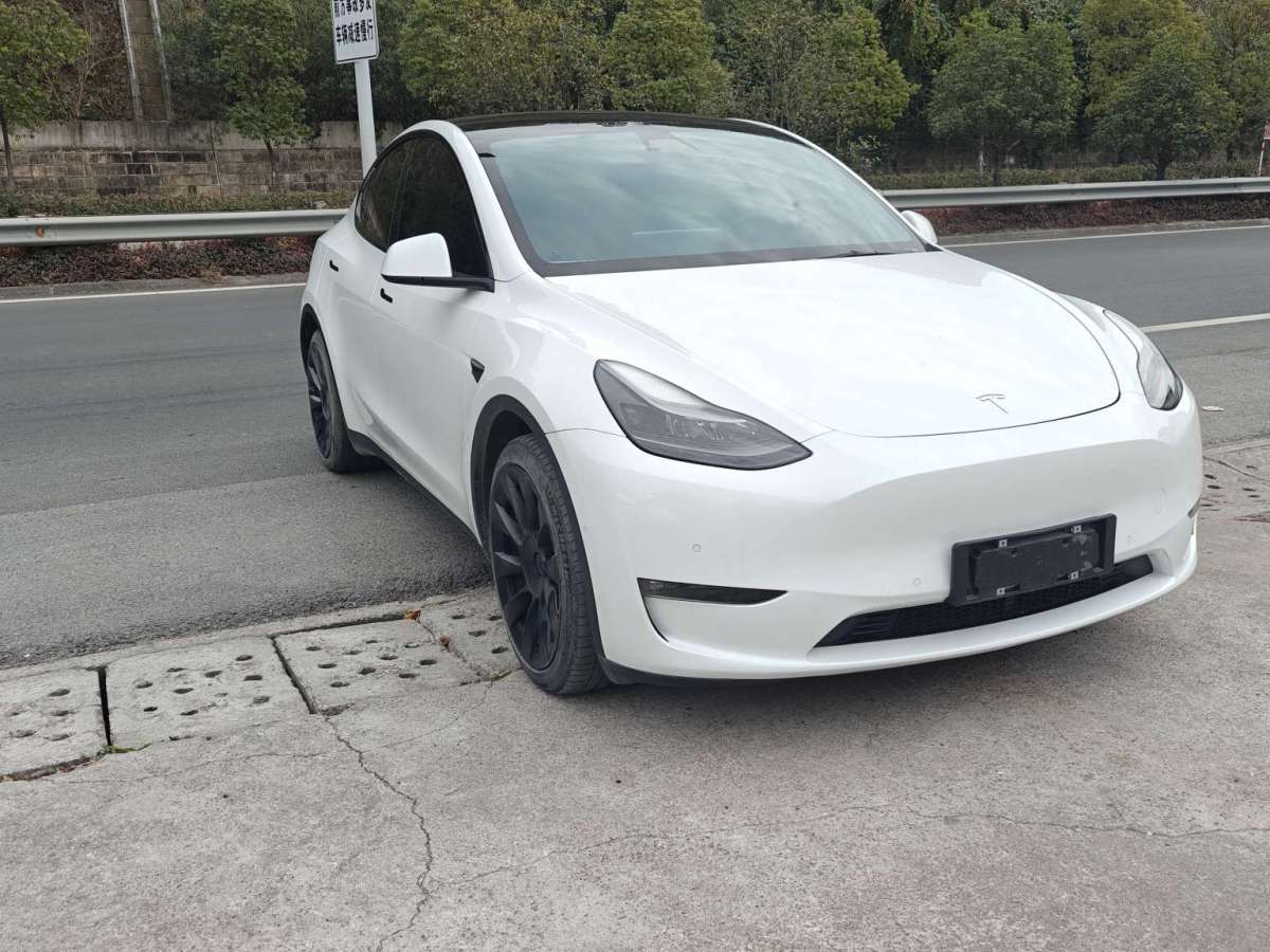 特斯拉 Model Y  2022款 長(zhǎng)續(xù)航全輪驅(qū)動(dòng)版圖片