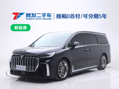 2024年5月 嵐圖 夢(mèng)想家 PHEV 超長(zhǎng)續(xù)航旗艦版圖片