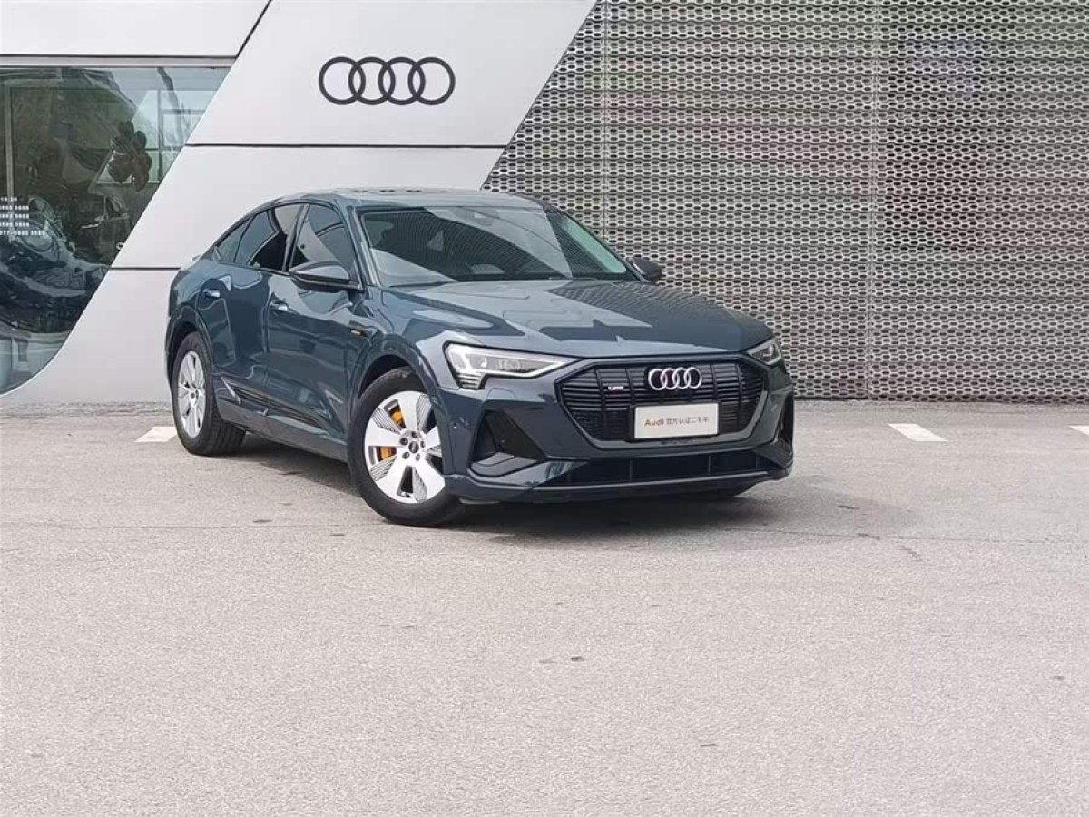 奧迪 奧迪e-tron  2021款 Sportback 55 quattro 豪華型圖片