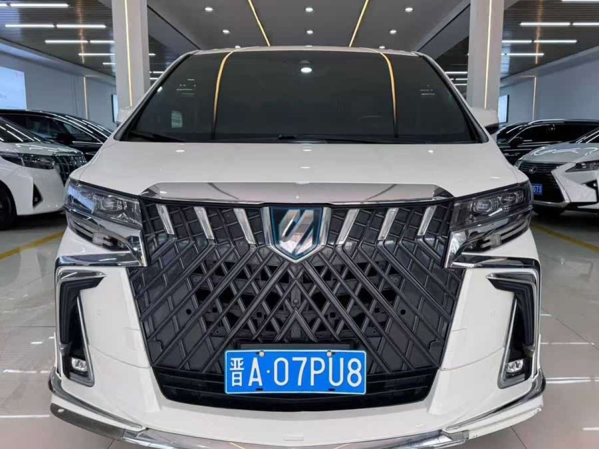 豐田 埃爾法  2019款  雙擎 2.5L 尊貴版圖片