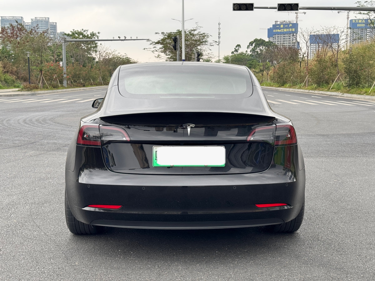 特斯拉 Model 3  2022款 后輪驅(qū)動(dòng)版圖片