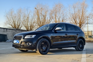 奧迪SQ5 奧迪 SQ5 3.0 TFSI quattro