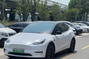 Model Y 特斯拉 標(biāo)準(zhǔn)續(xù)航后驅(qū)版