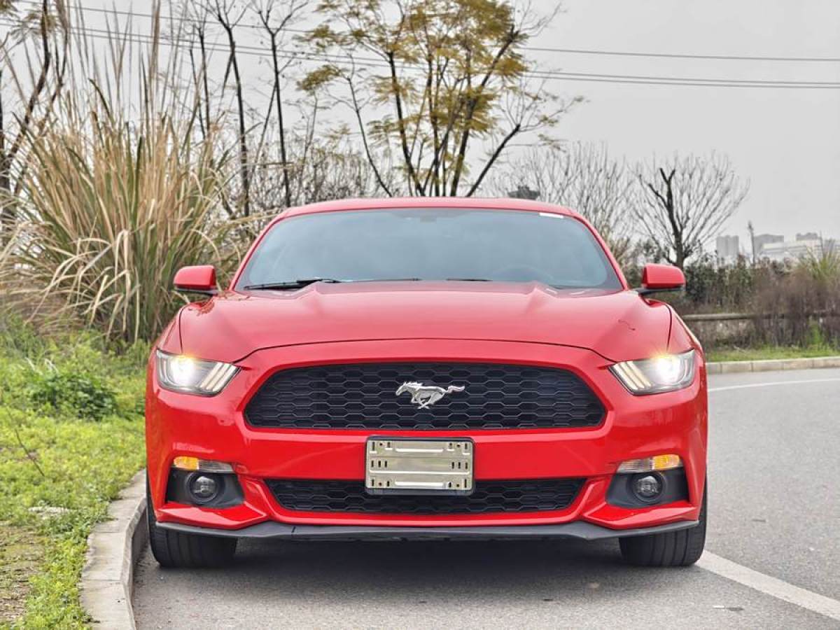 福特 Mustang  2016款 2.3T 性能版圖片