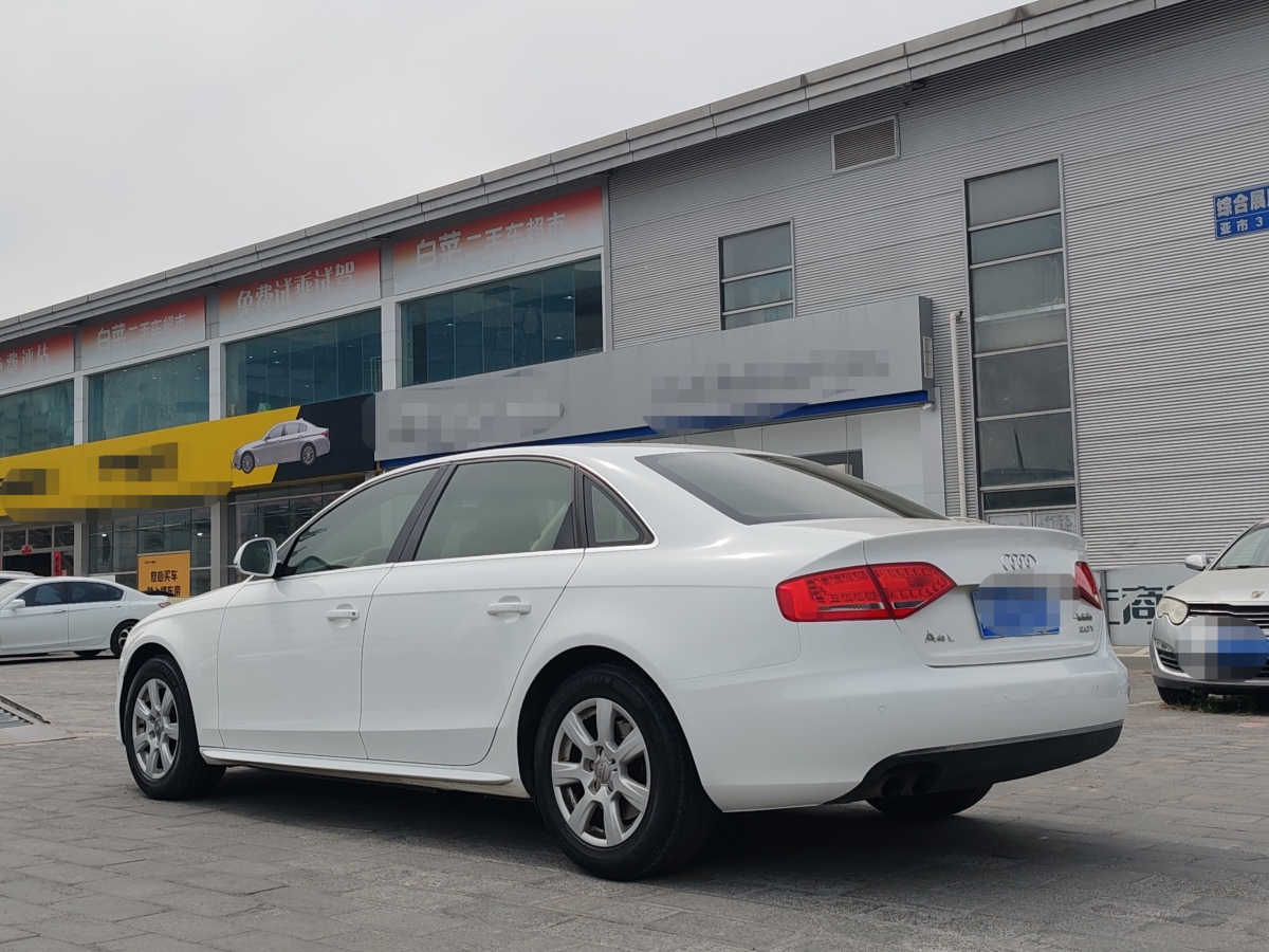 奧迪 奧迪A4L  2010款 2.0 TFSI 舒適型圖片