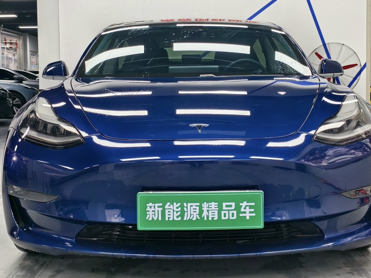 特斯拉 Model 3  2020款 改款 長續(xù)航后輪驅(qū)動(dòng)版圖片