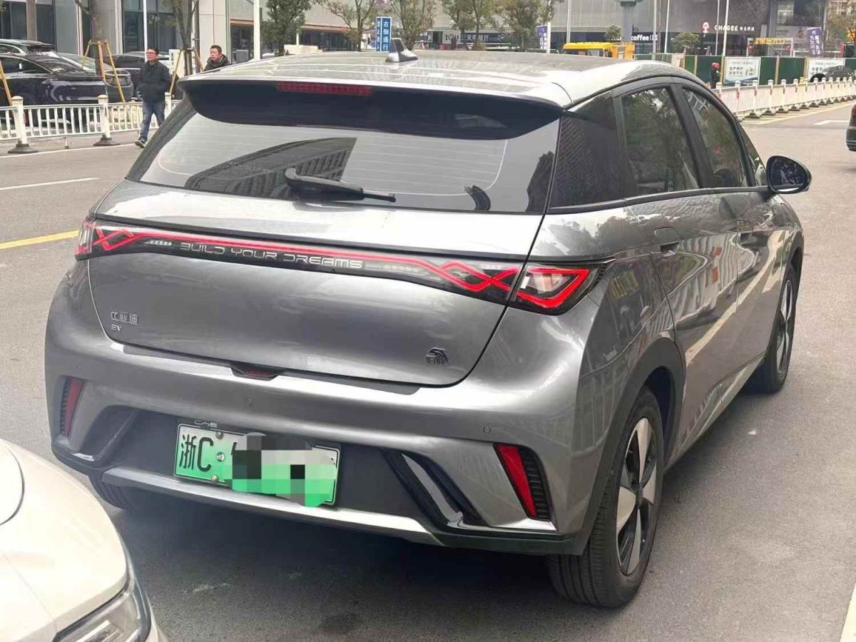 比亞迪 海豚  2024款 榮耀版 302km 活力版圖片