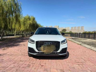 2021年1月 奧迪 奧迪SQ5(進(jìn)口) 3.0 TFSI quattro圖片