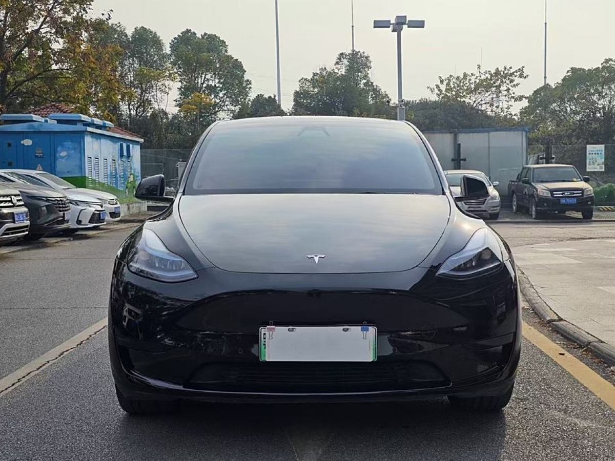 特斯拉 Model 3  2022款 后輪驅(qū)動版圖片