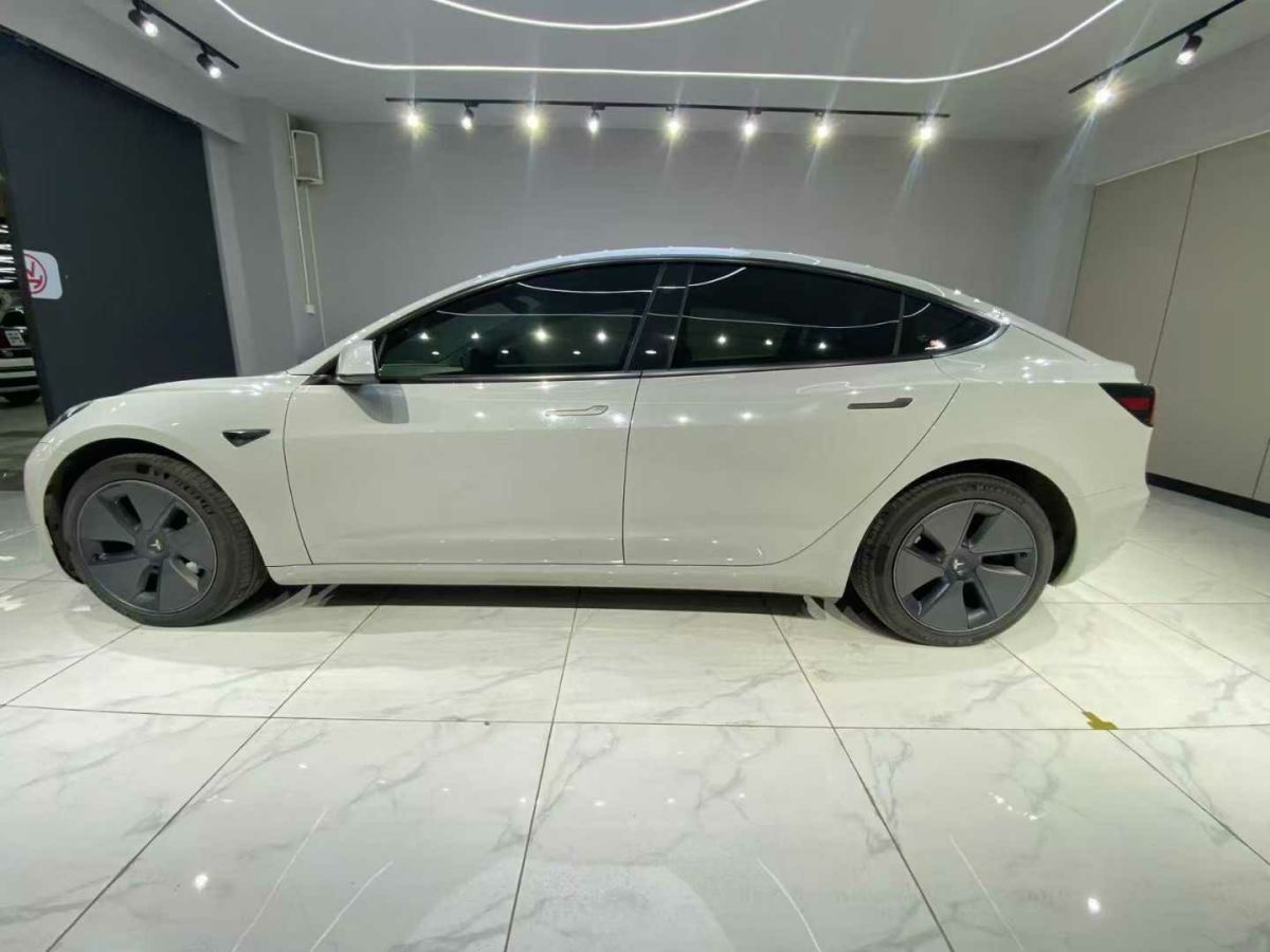 特斯拉 Model S  2023款 三電機(jī)全輪驅(qū)動(dòng) Plaid版圖片