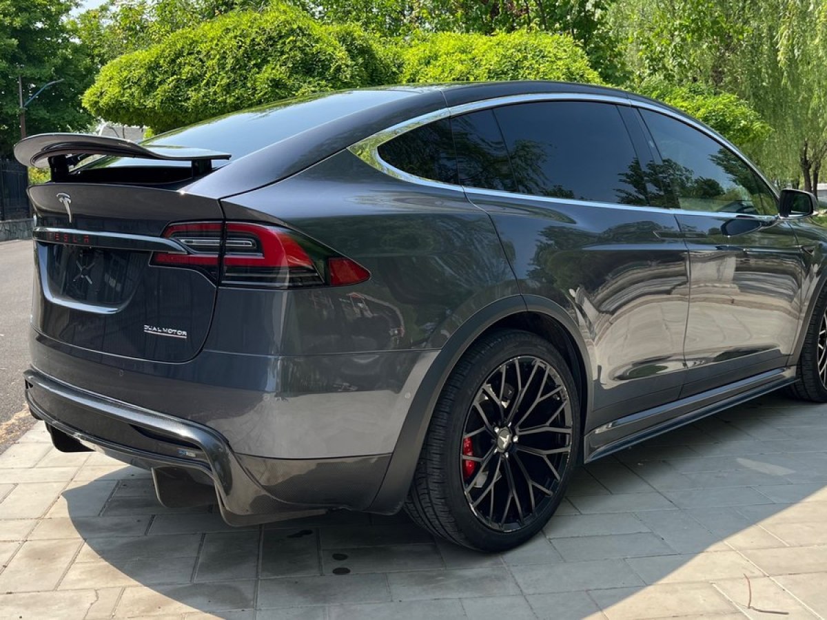 特斯拉 Model X  2019款 Performance 高性能版图片
