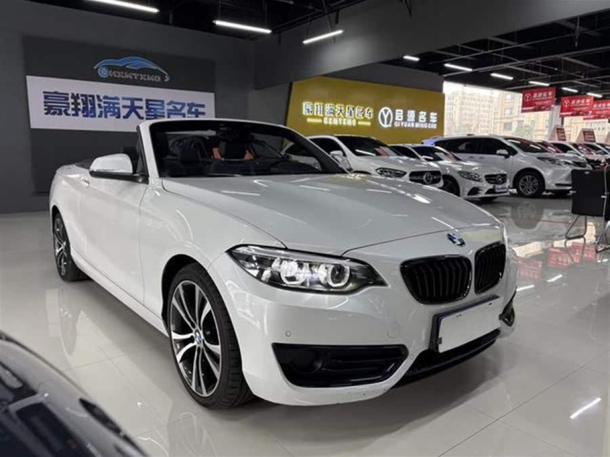 寶馬 寶馬2系  2019款  225i 敞篷轎跑車 運動設(shè)計套裝圖片