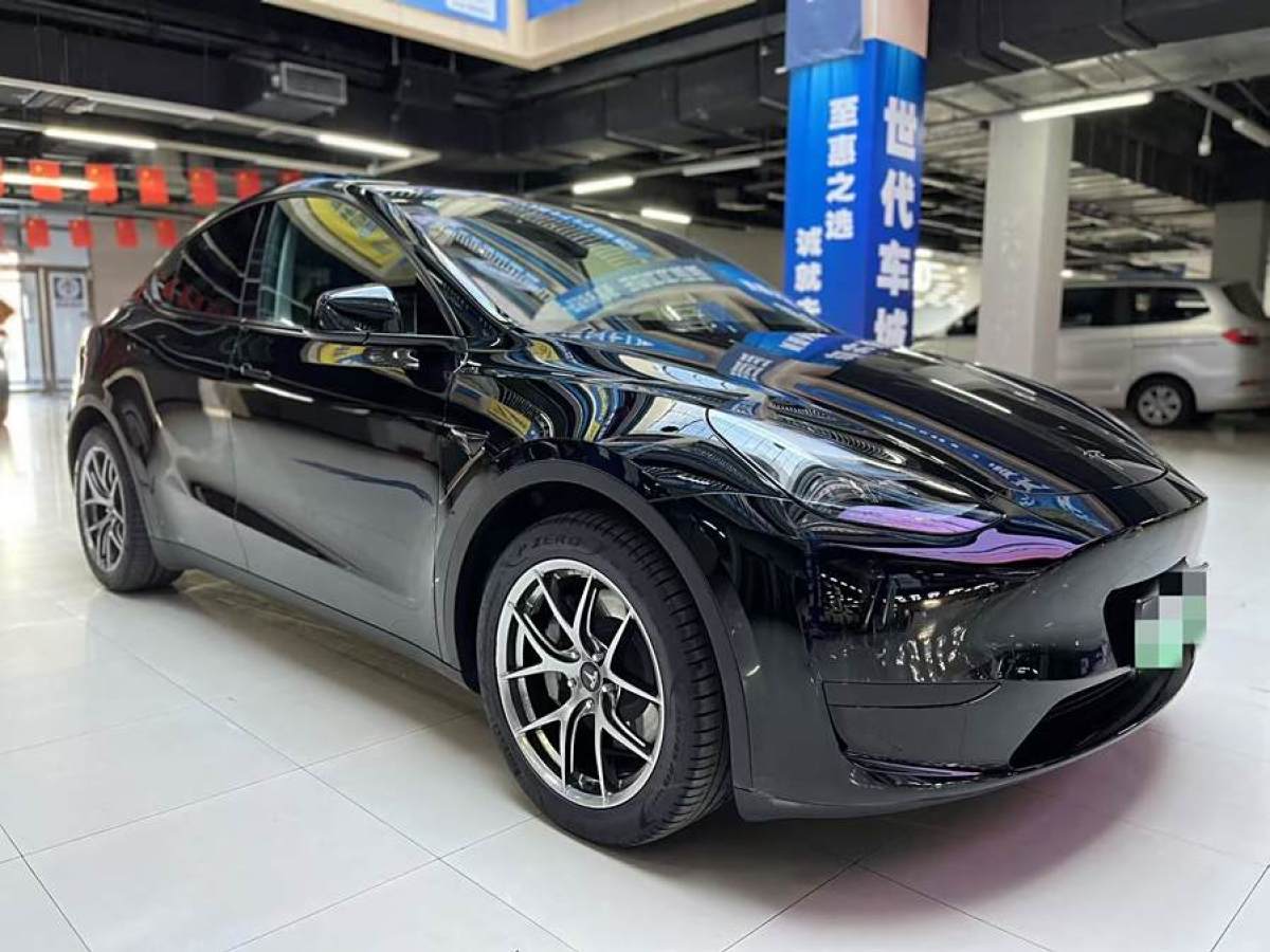 特斯拉 Model 3  2020款 改款 長續(xù)航后輪驅(qū)動版圖片