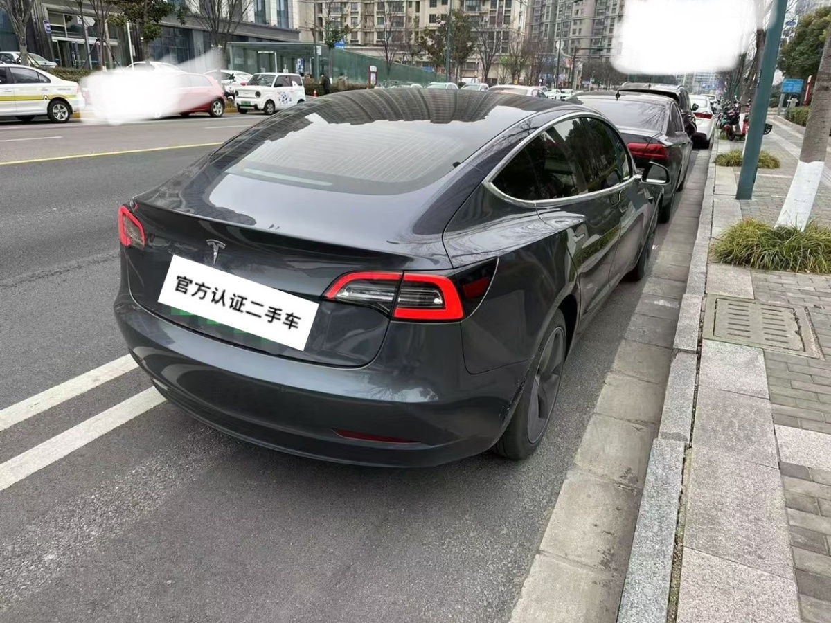 2020年3月特斯拉 Model 3  2020款 改款 標(biāo)準(zhǔn)續(xù)航后驅(qū)升級版