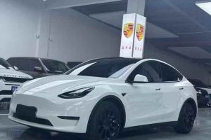 Model S 特斯拉 Performance 高性能版