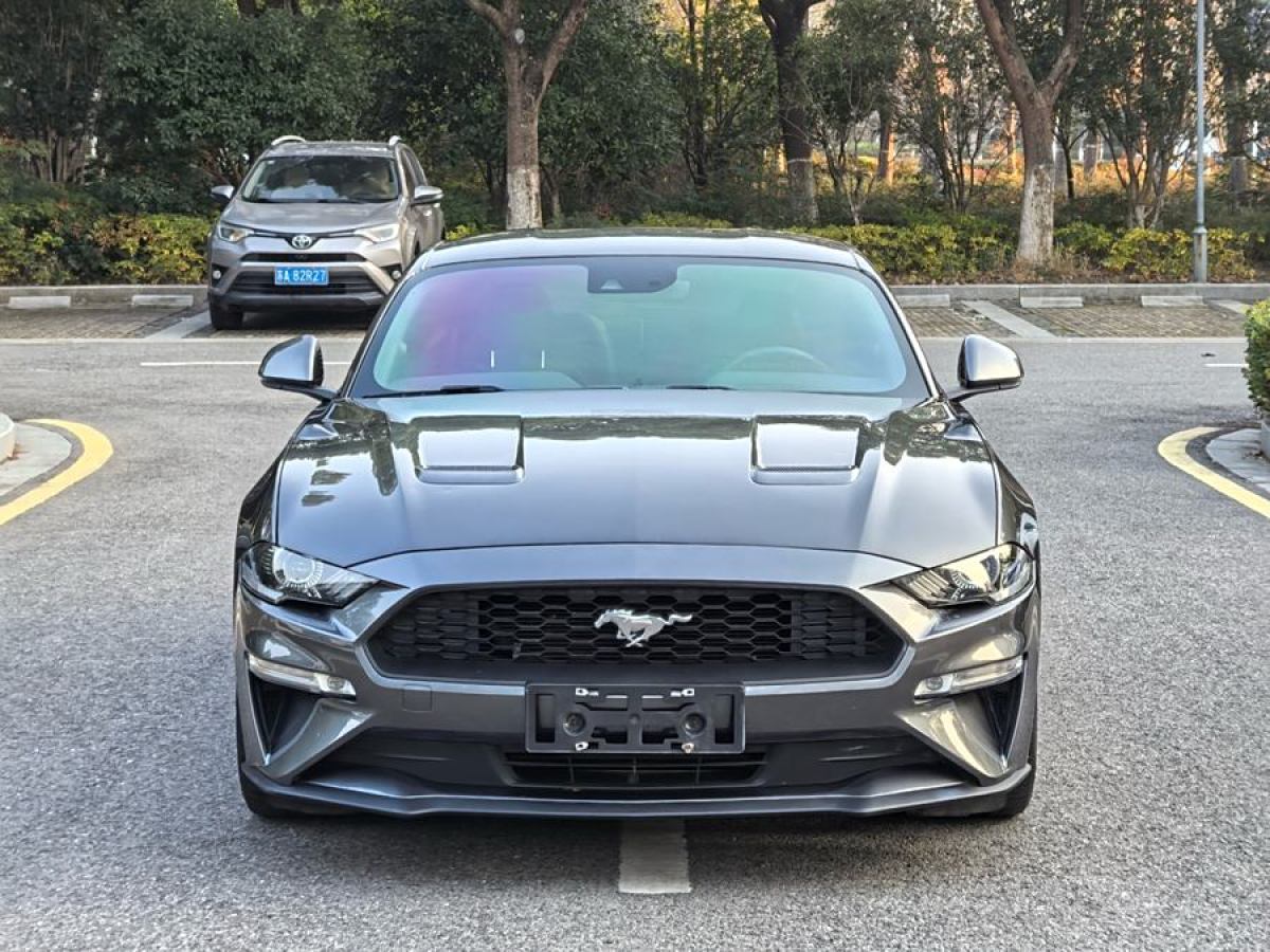 福特 Mustang  2019款 2.3L EcoBoost 性能加強版圖片