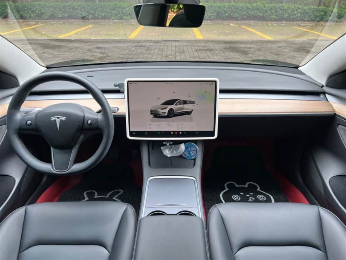 特斯拉 Model 3  2022款 后輪驅(qū)動版圖片