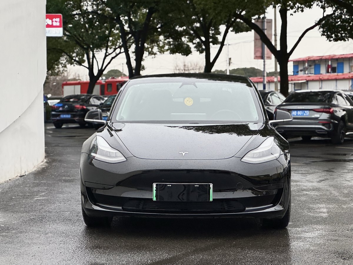 特斯拉 Model 3  2020款 改款 標(biāo)準(zhǔn)續(xù)航后驅(qū)升級(jí)版圖片