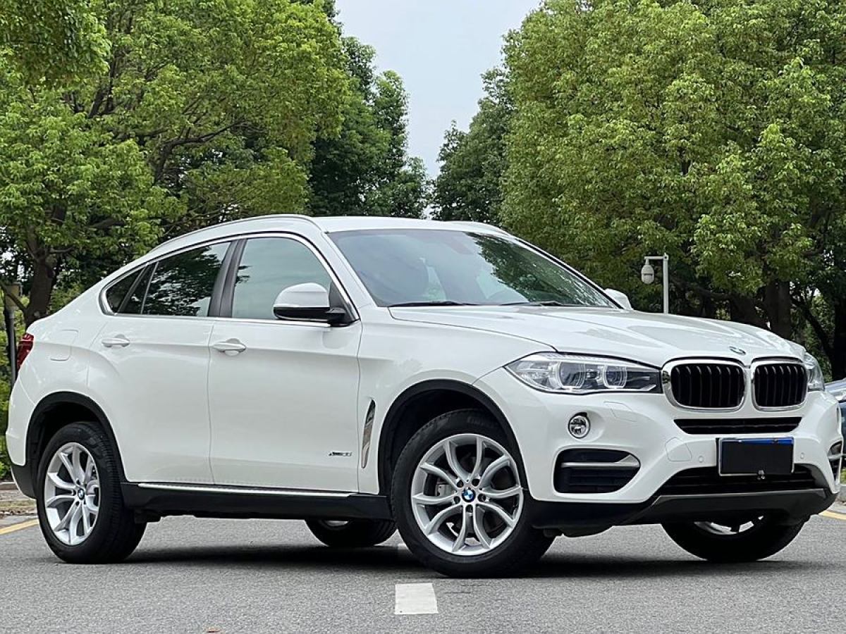 寶馬 寶馬X6  2015款 xDrive35i 領(lǐng)先型圖片