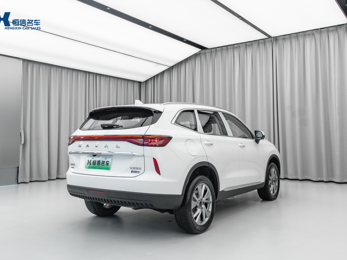 哈弗 哈弗H6新能源  2023款 DHT-PHEV 110KM 悅行版圖片