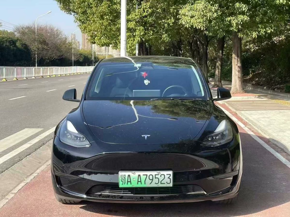 特斯拉 Model 3  2022款 Performance高性能全輪驅(qū)動(dòng)版圖片