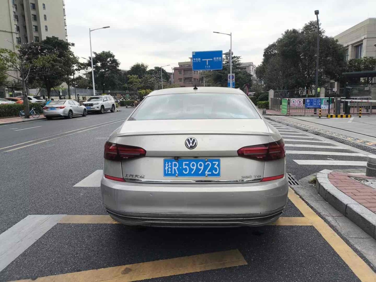 大眾 帕薩特  2019款 380TSI 尊貴版圖片