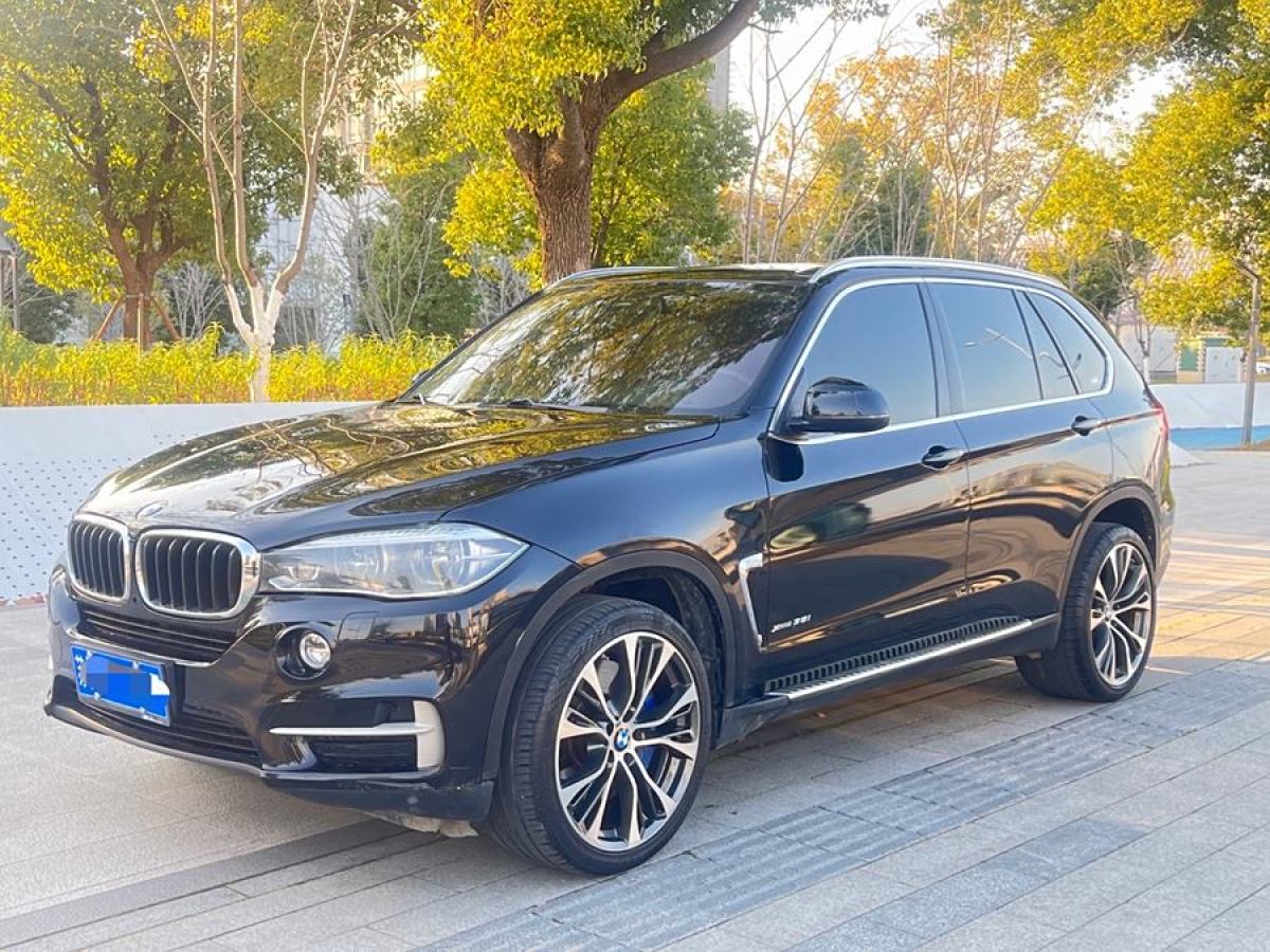 寶馬 寶馬X5  2014款 xDrive35i 領(lǐng)先型圖片