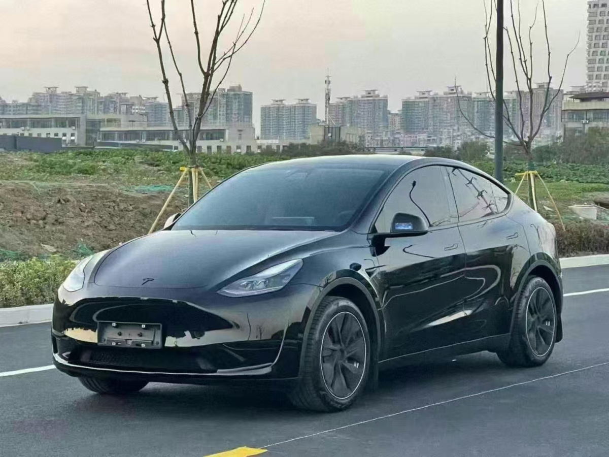 特斯拉 Model Y  2023款 后輪驅(qū)動版圖片