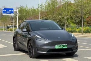 Model S 特斯拉 Performance 高性能版