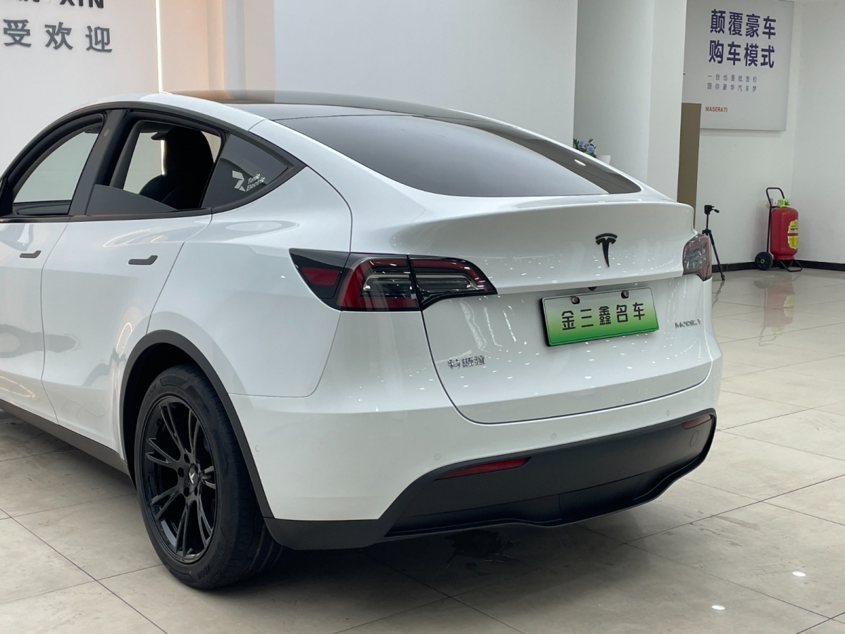 特斯拉 Model Y 2021款 Model Y 標(biāo)準(zhǔn)續(xù)航后驅(qū)版圖片