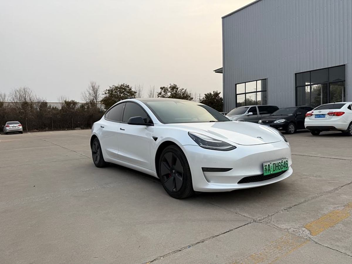 特斯拉 Model 3  2019款 長續(xù)航后驅(qū)版圖片