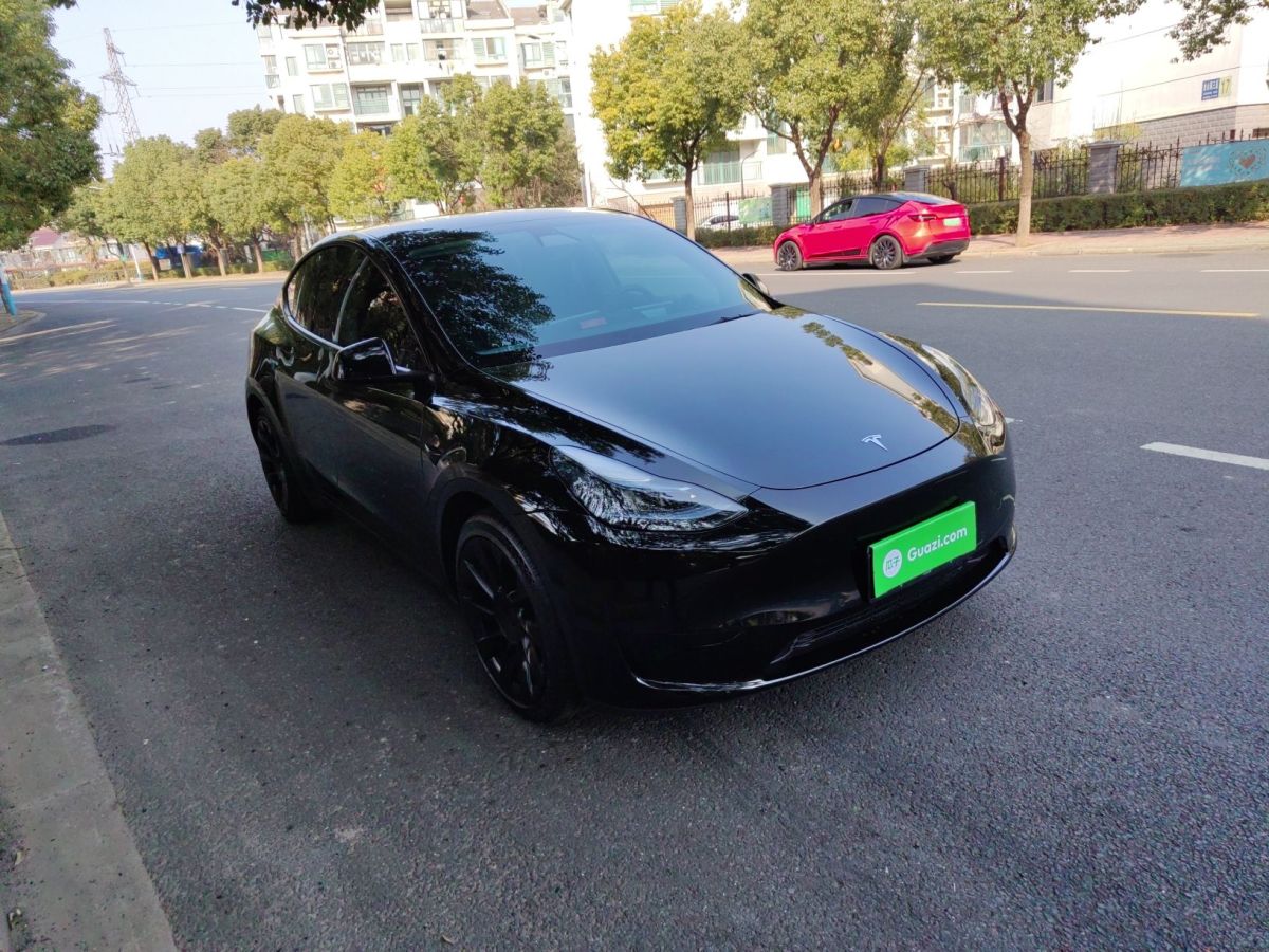 特斯拉 Model 3  2022款 后輪驅(qū)動版圖片