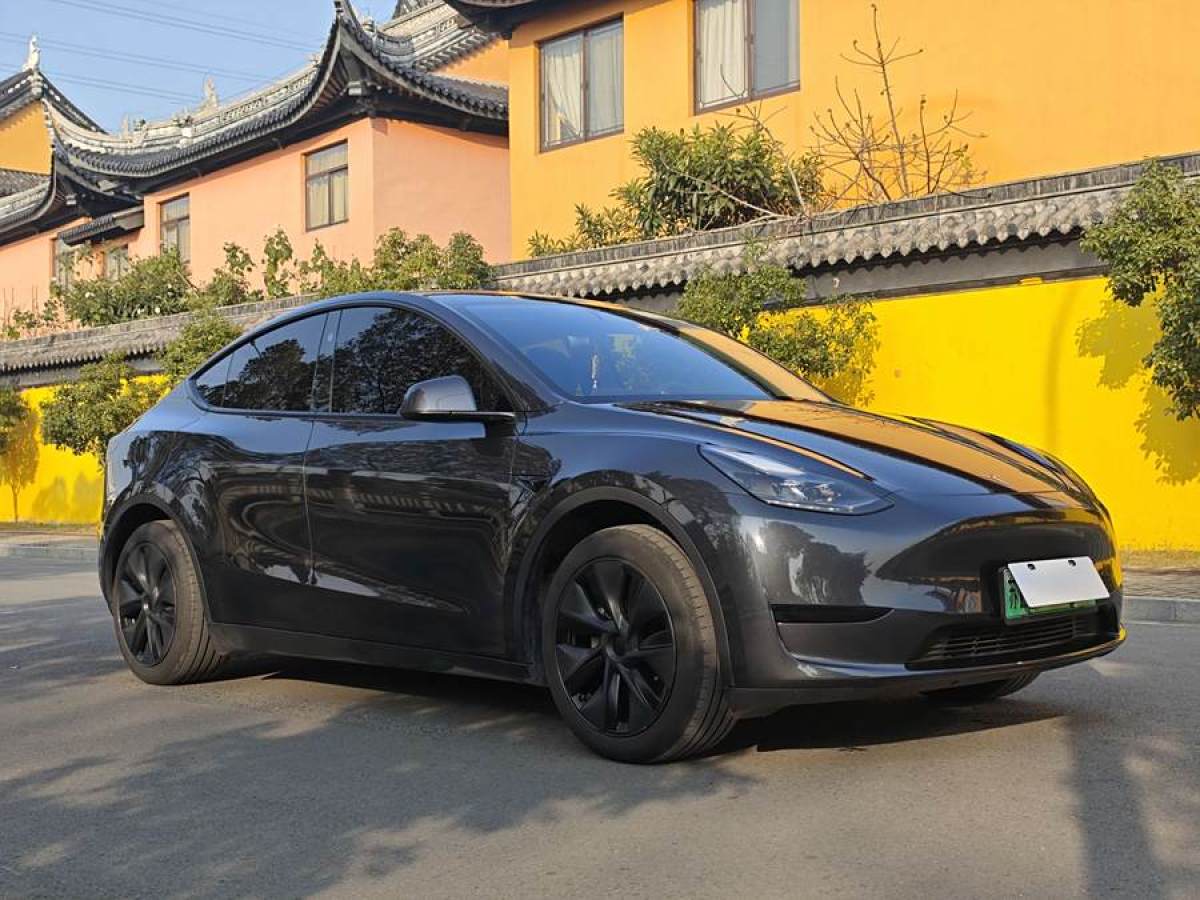 特斯拉 Model 3  2020款 改款 長續(xù)航后輪驅(qū)動版圖片