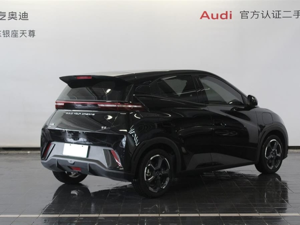 比亞迪 海鷗  2024款 榮耀版 405km 飛翔版圖片
