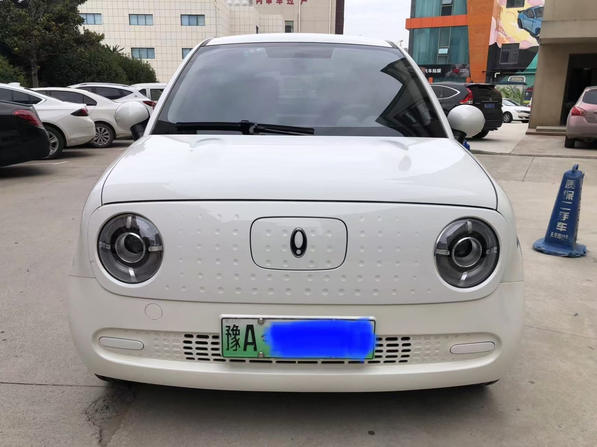 歐拉 R1  2019款 301km 標(biāo)準(zhǔn)版圖片