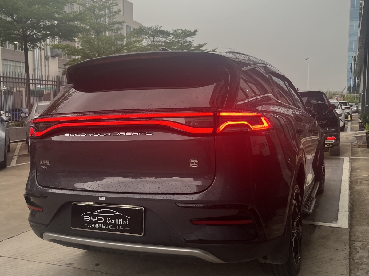 比亞迪 唐新能源  2021款 DM-i 112KM 尊貴型圖片