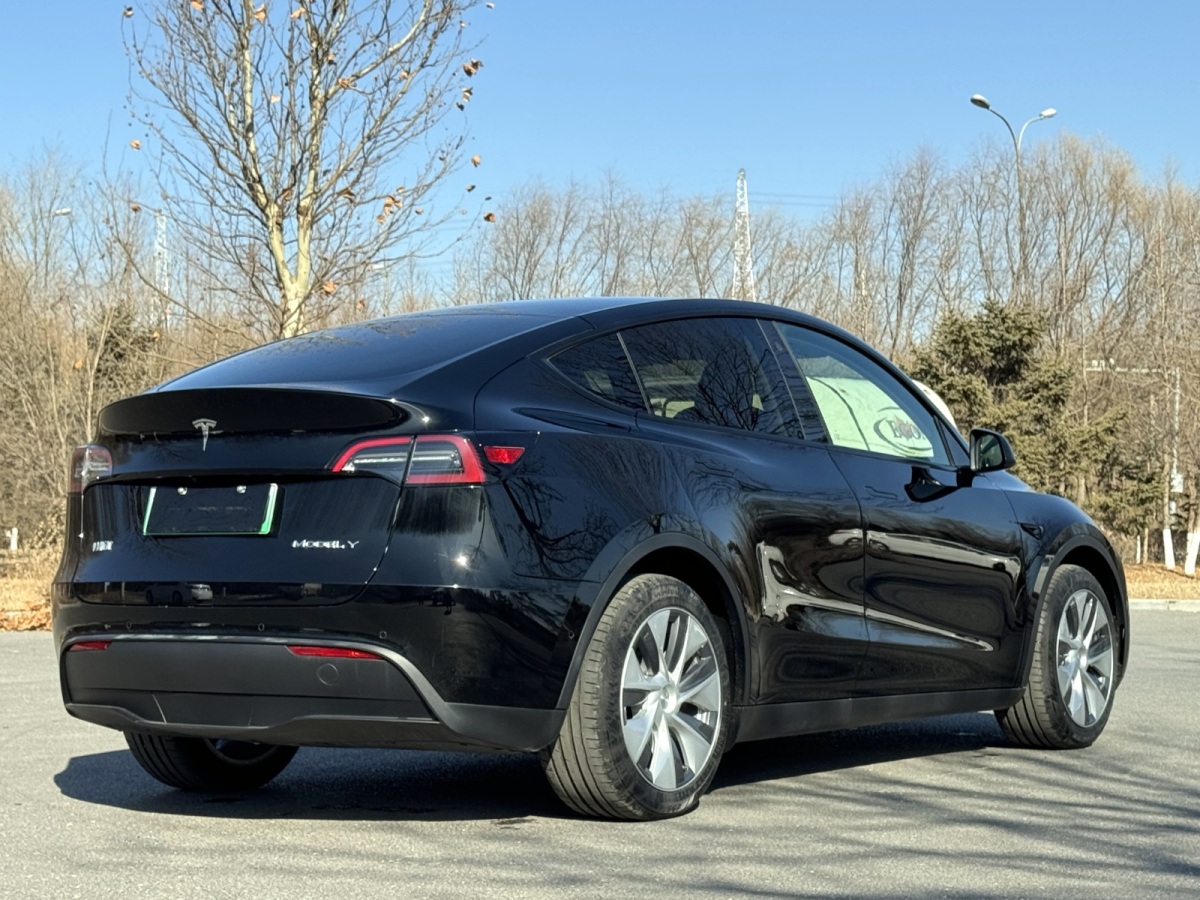 特斯拉 Model Y  2022款 改款 后輪驅(qū)動版圖片