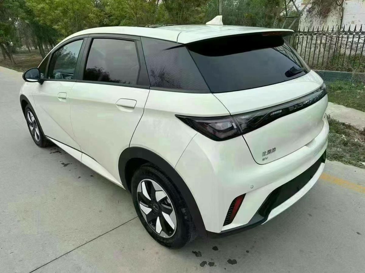 比亞迪 元PLUS  2022款 430KM 尊貴型圖片