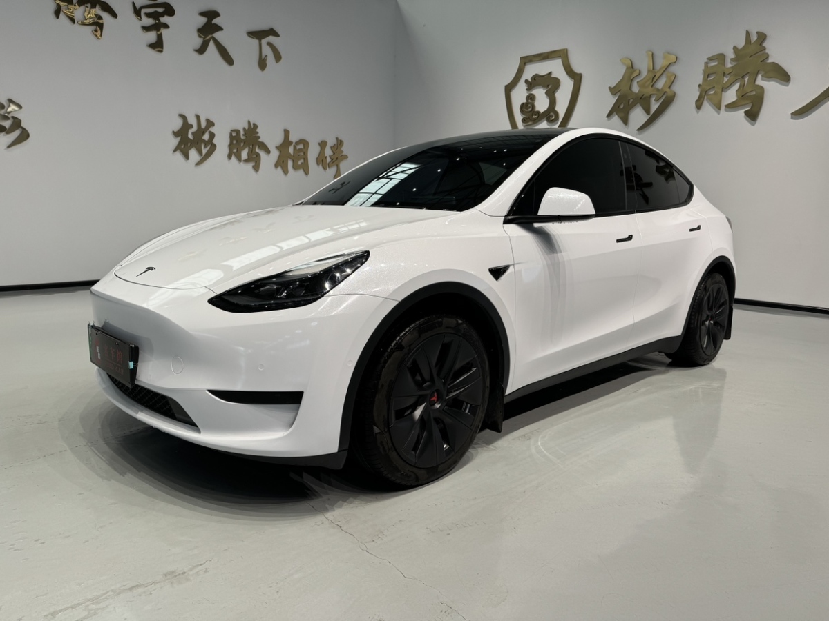 2023年3月特斯拉 Model 3  2023款 后輪驅(qū)動版