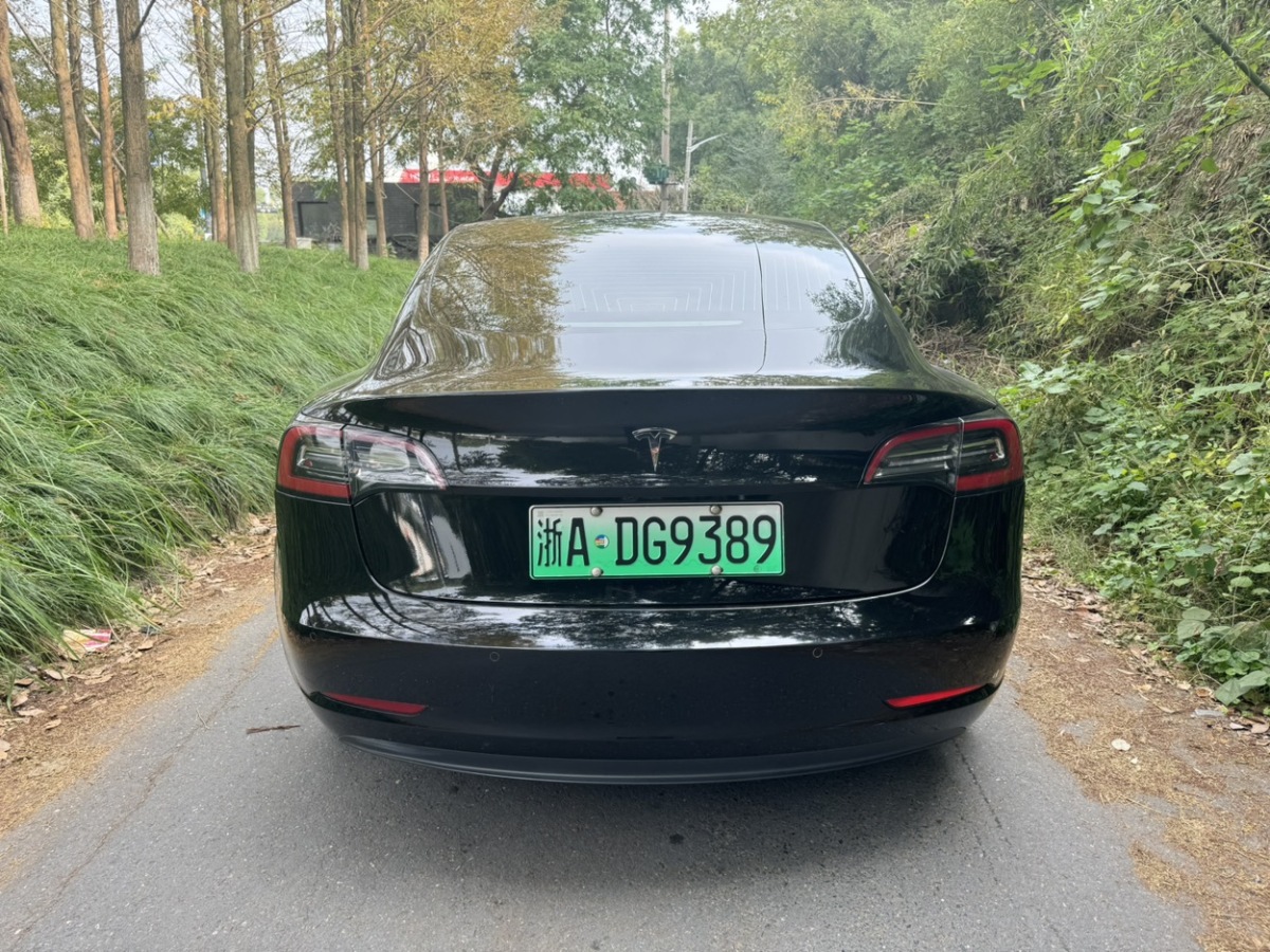 特斯拉 Model 3  2019款 長續(xù)航后驅(qū)版圖片