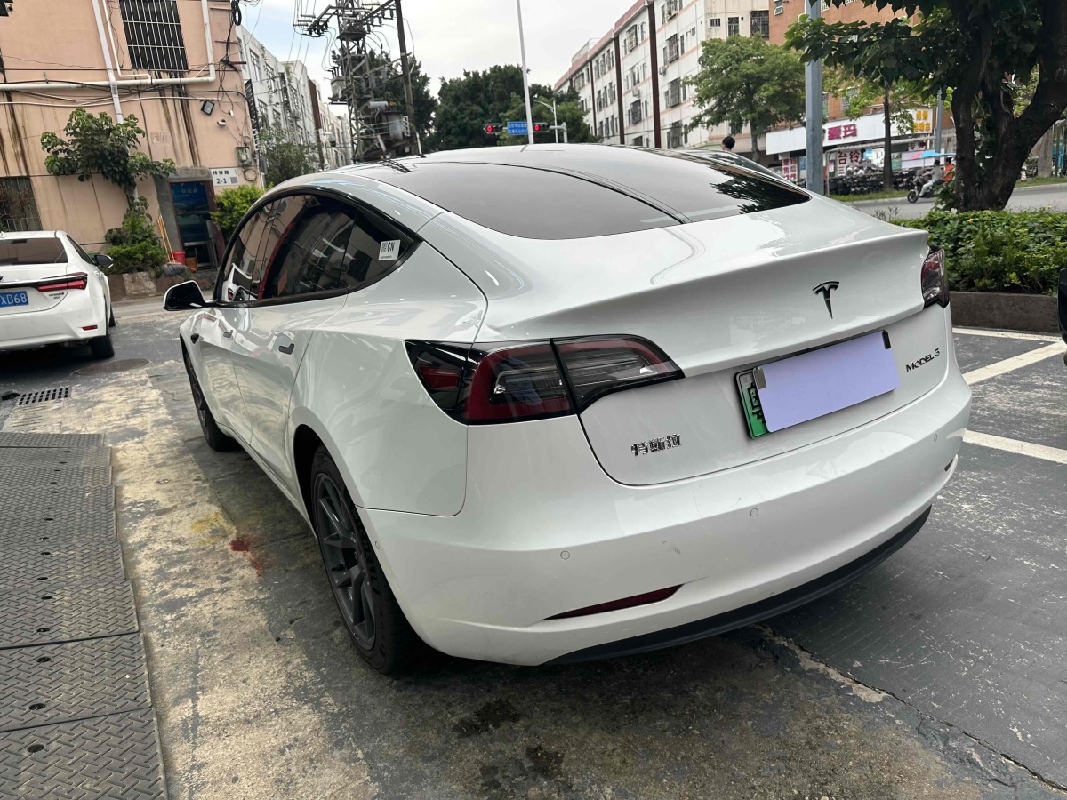 特斯拉 Model 3  2021款 改款 標(biāo)準(zhǔn)續(xù)航后驅(qū)升級版圖片