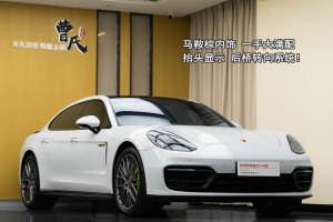 Panamera新能源 保时捷 Panamera 4 E-Hybrid 行政加长铂金版 2.9T