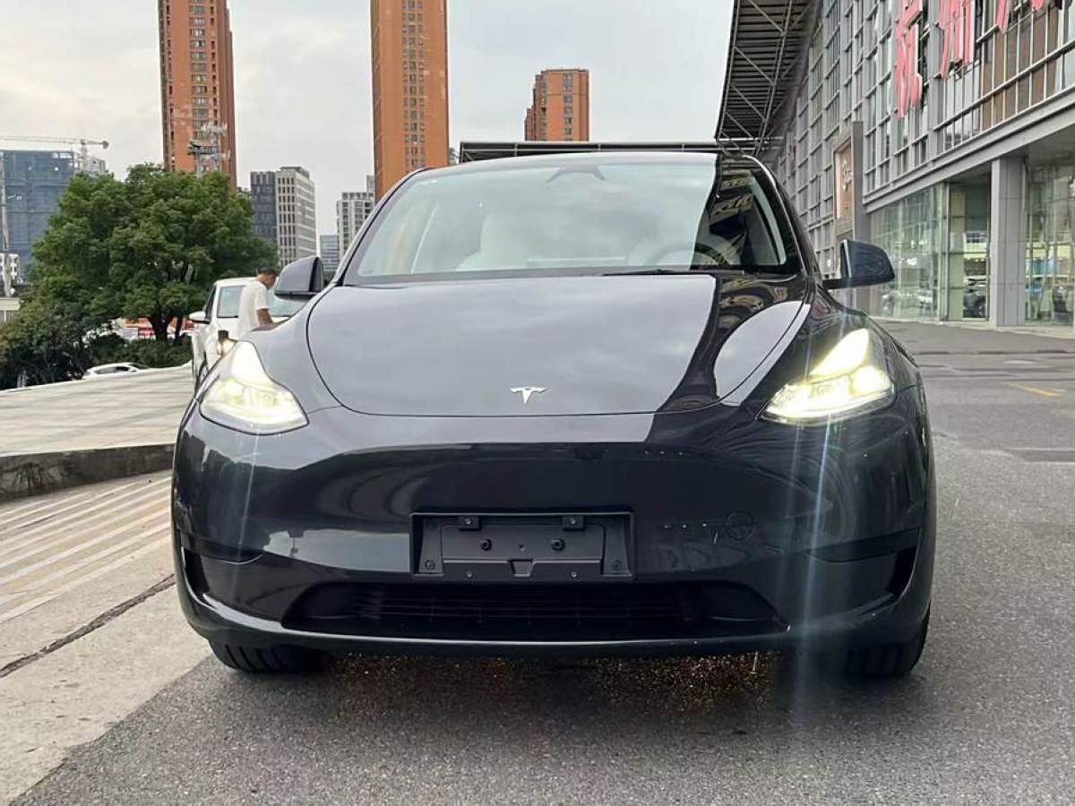 2024年10月特斯拉 Model Y  2020款 改款 長續(xù)航后輪驅(qū)動(dòng)版