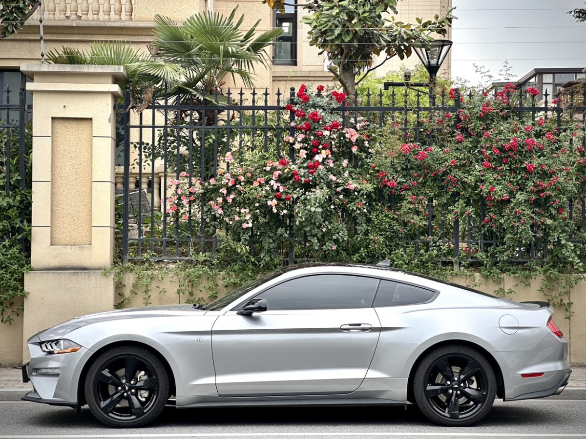 2023年06月福特 Mustang  2022款 2.3L EcoBoost 元光极昼限量版