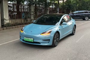 Model 3 特斯拉 標(biāo)準(zhǔn)續(xù)航后驅(qū)升級版 3D6